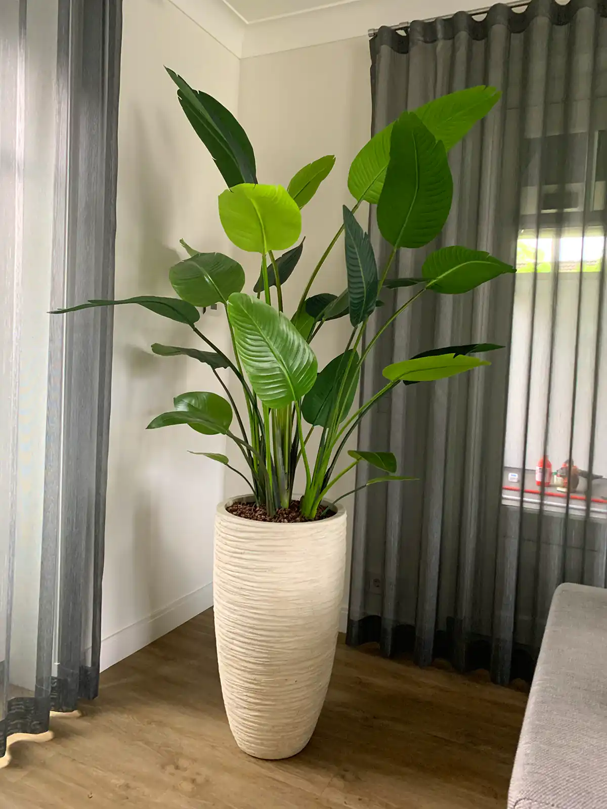 گلدون بزرگ کنار پذیرایی