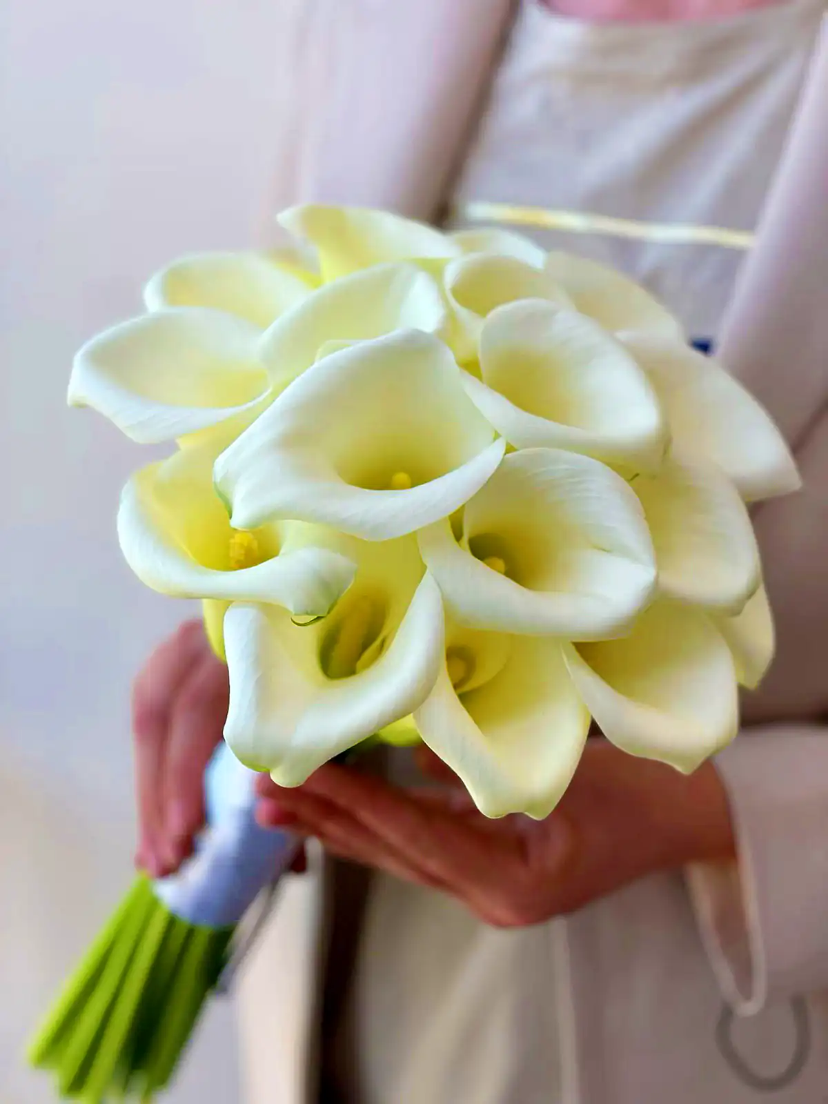 دسته گل شیپوری عروس