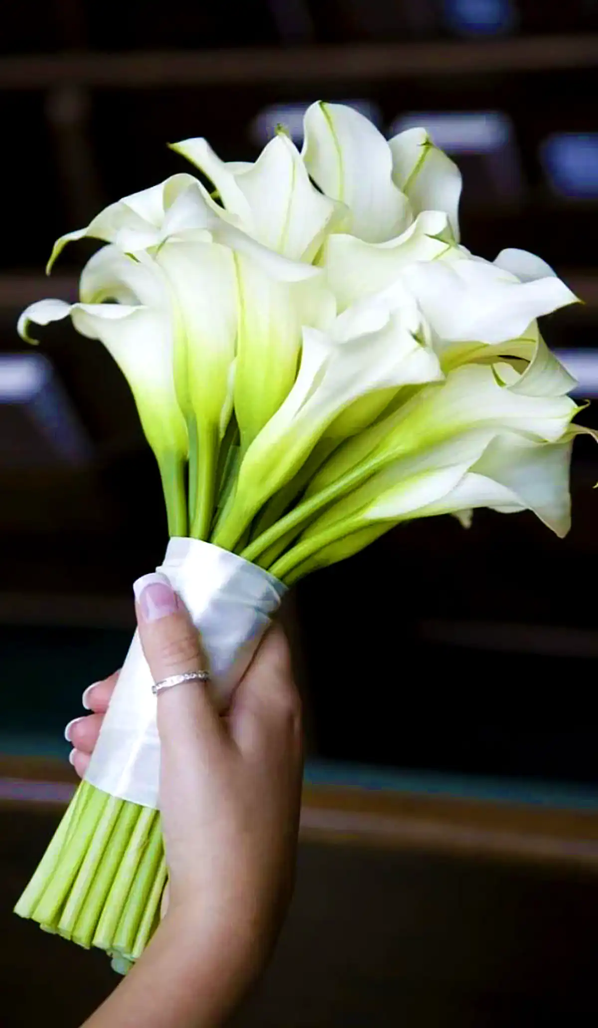 دسته گل شیپوری عروس