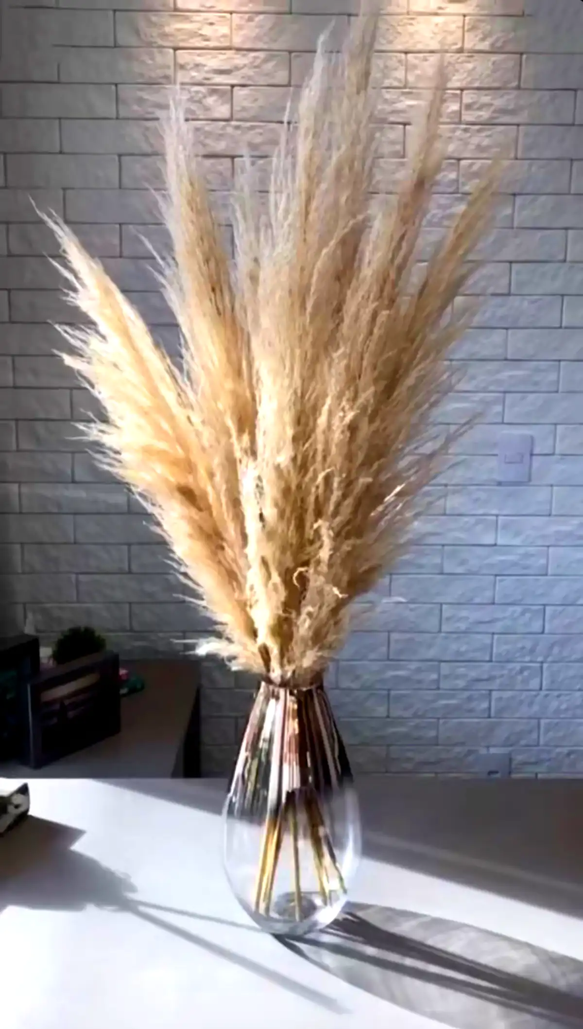 گل خشک دکوری