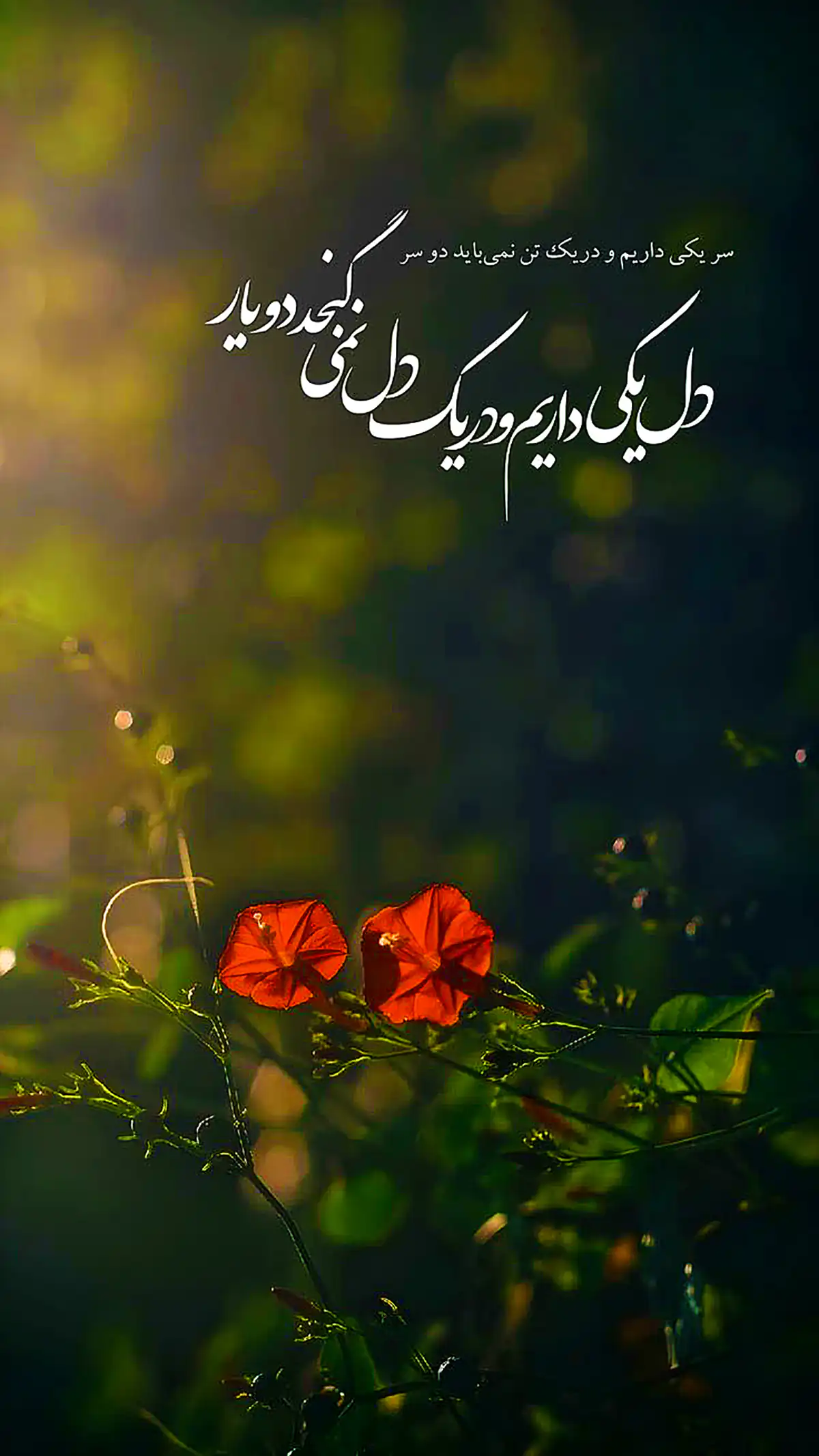 عکس نوشته برای استوری