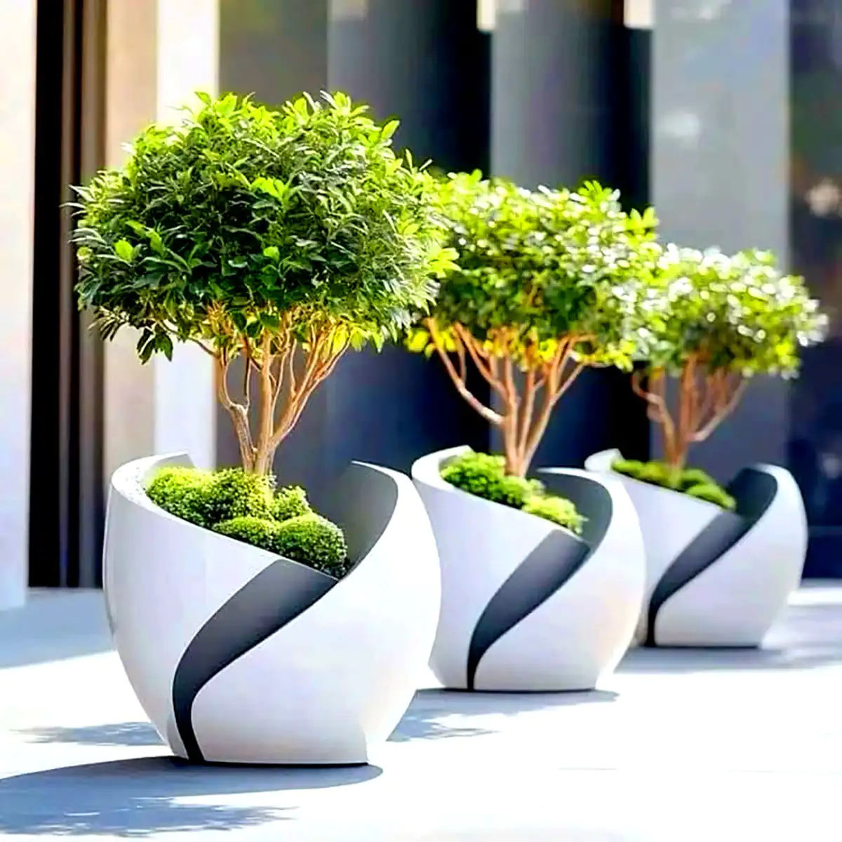 گلدون لاکچری کنار سالنی