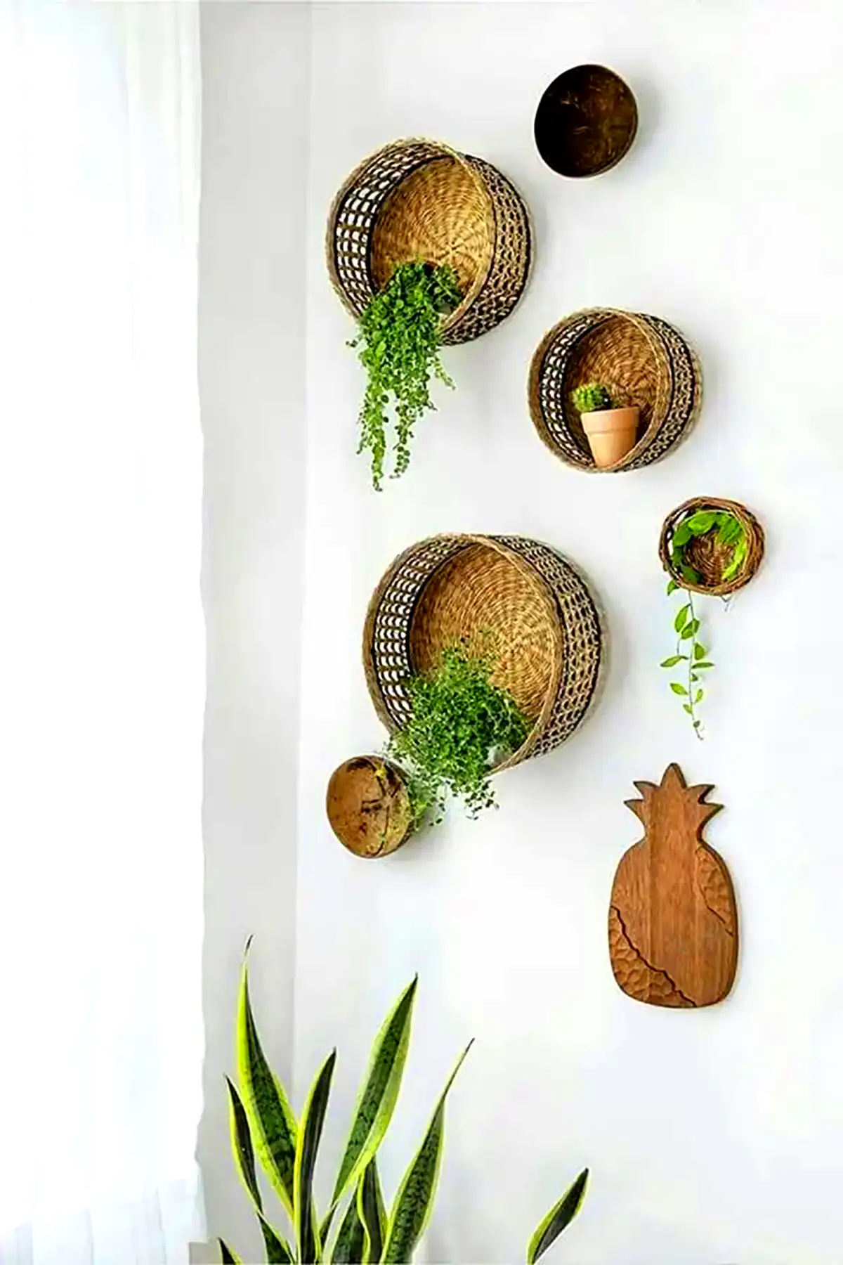 ایده های شیک گلدون دیواری