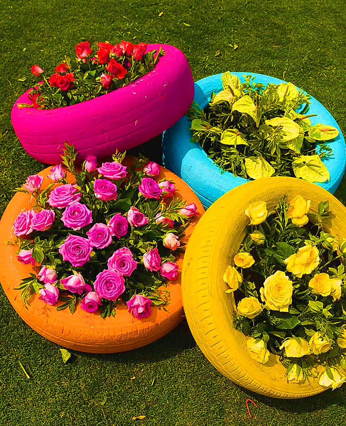 تایر دکوری فانتزی