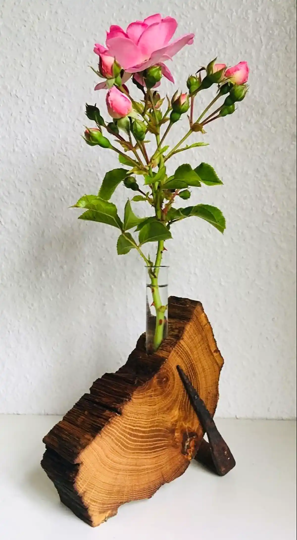 گلدان دایره ای تنه درخت