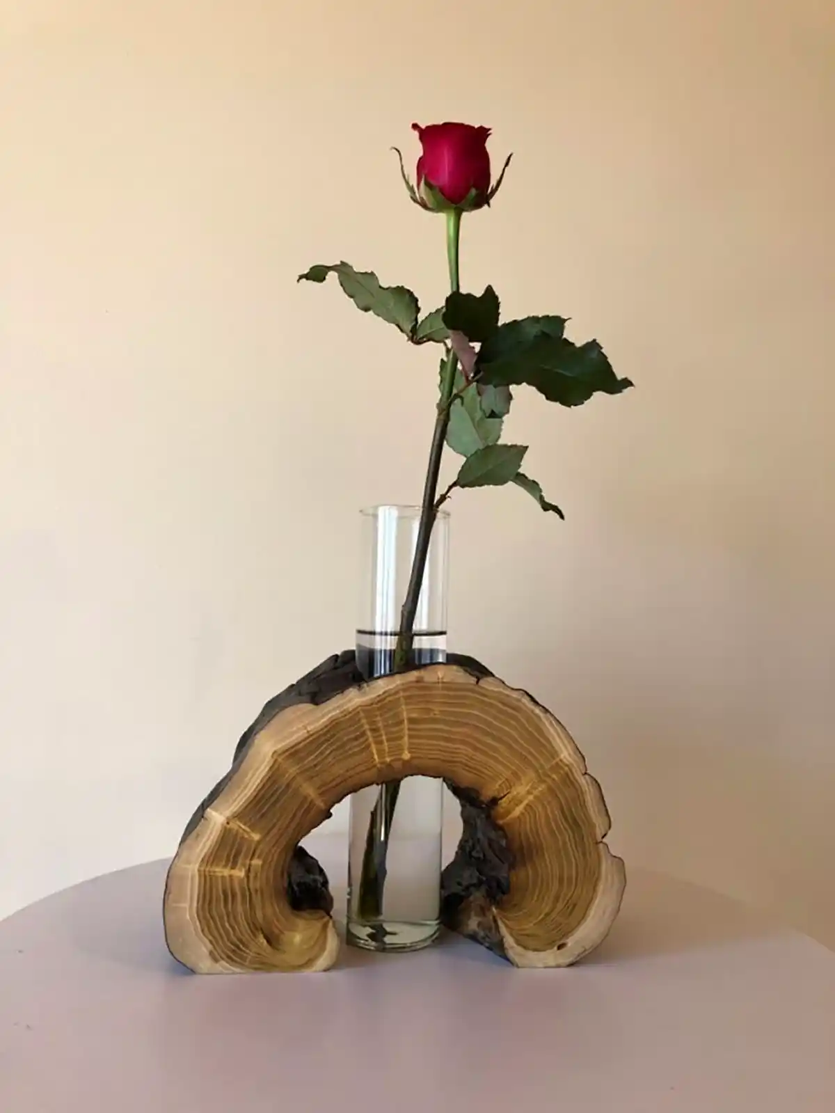 گلدان دایره ای تنه درخت