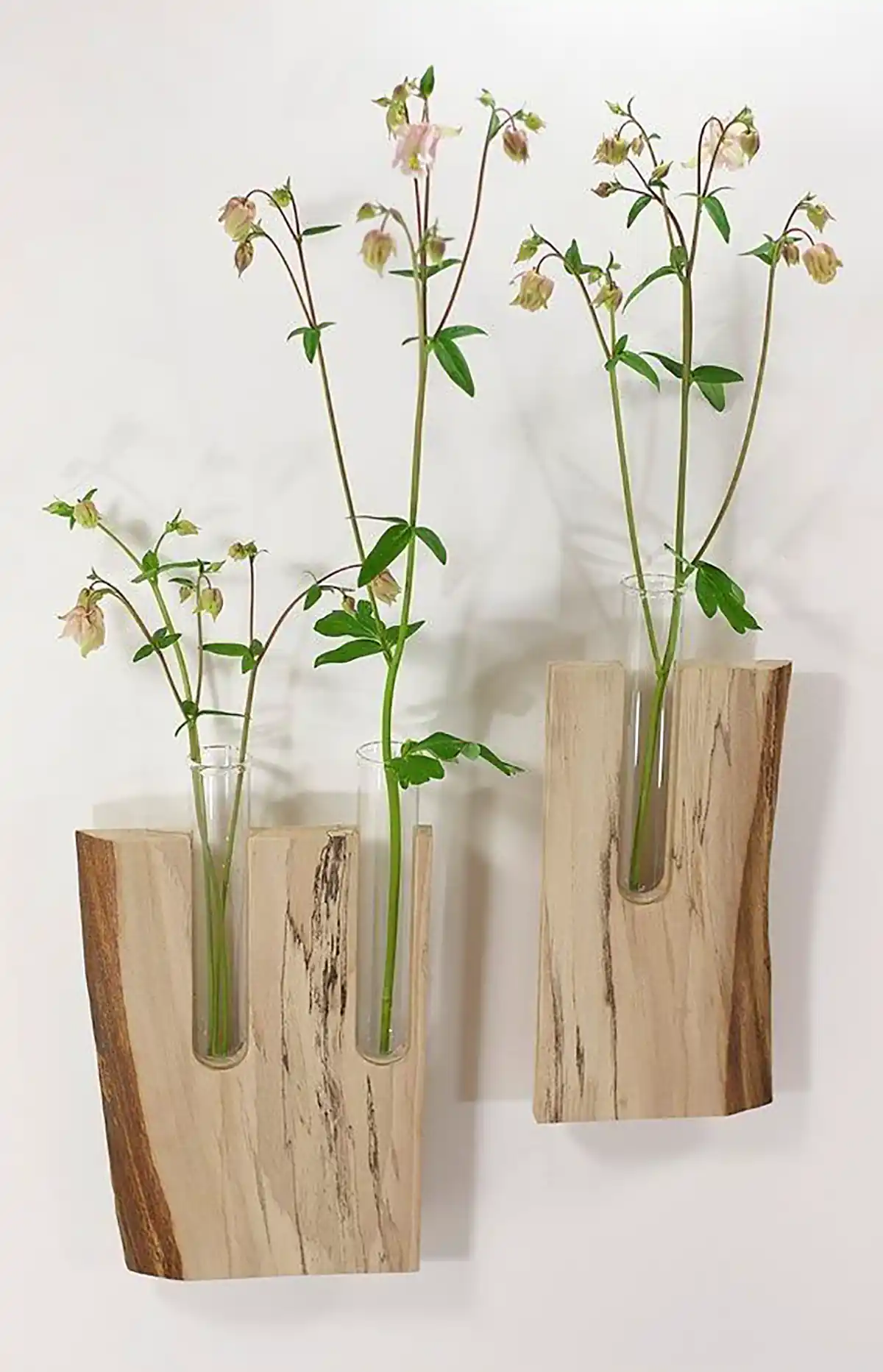 گلدان دایره ای تنه درخت