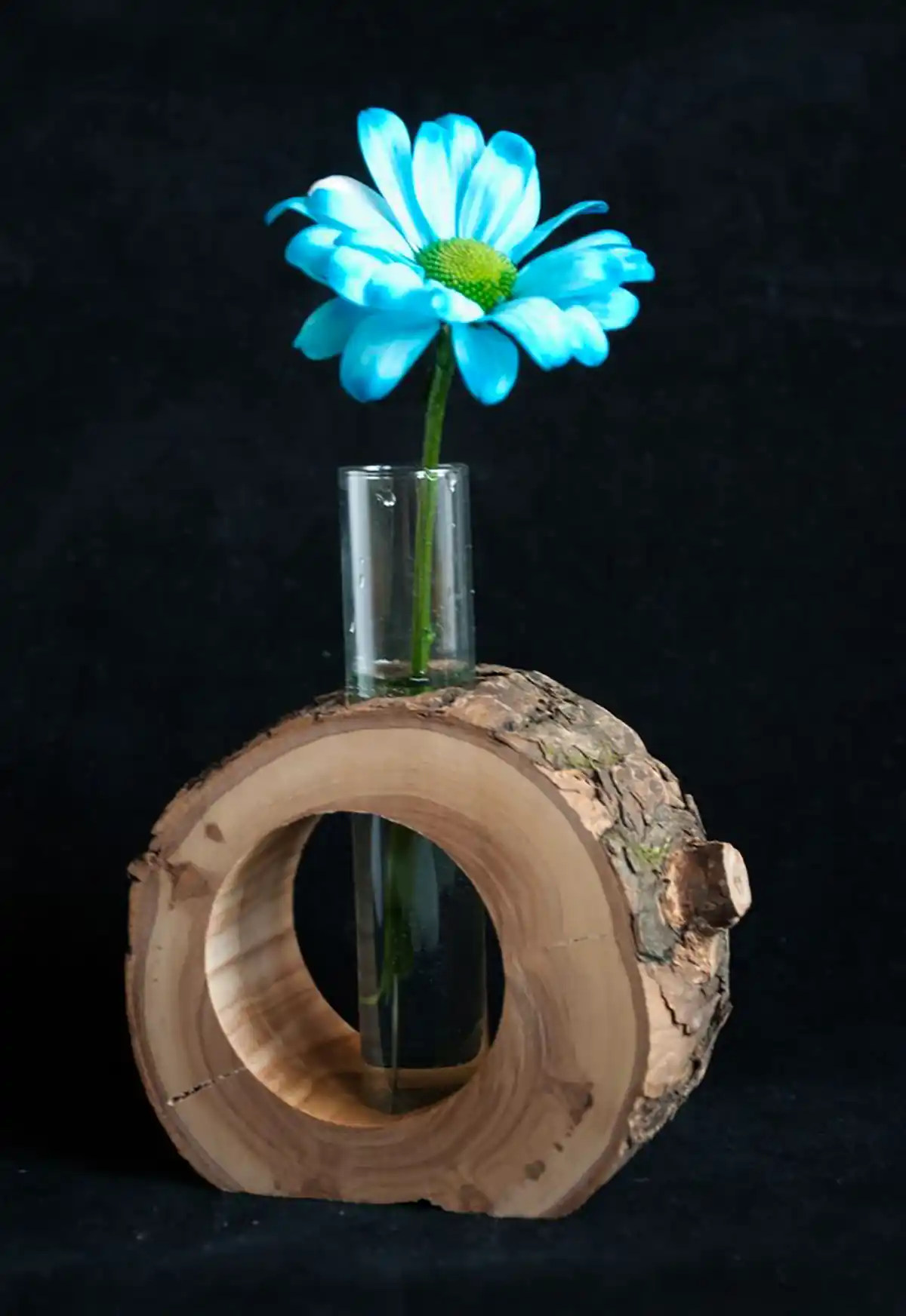 گلدان دایره ای تنه درخت