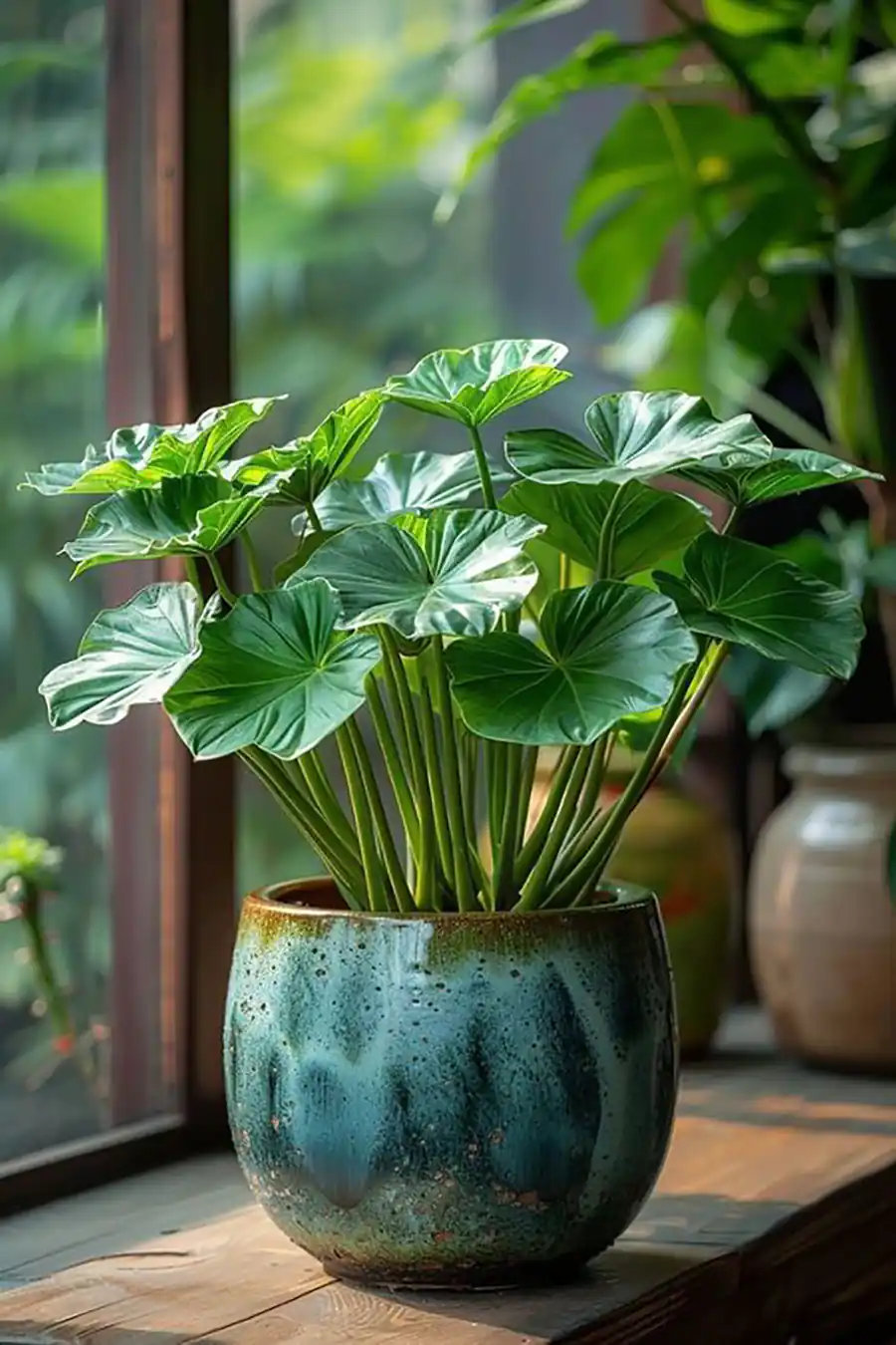 گل طبیعی کنار سالنی