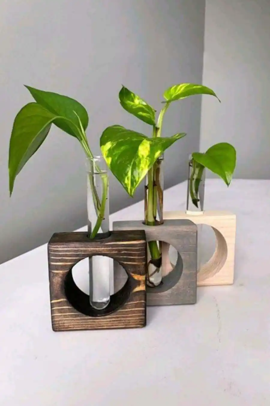 گلدان تنه درختی