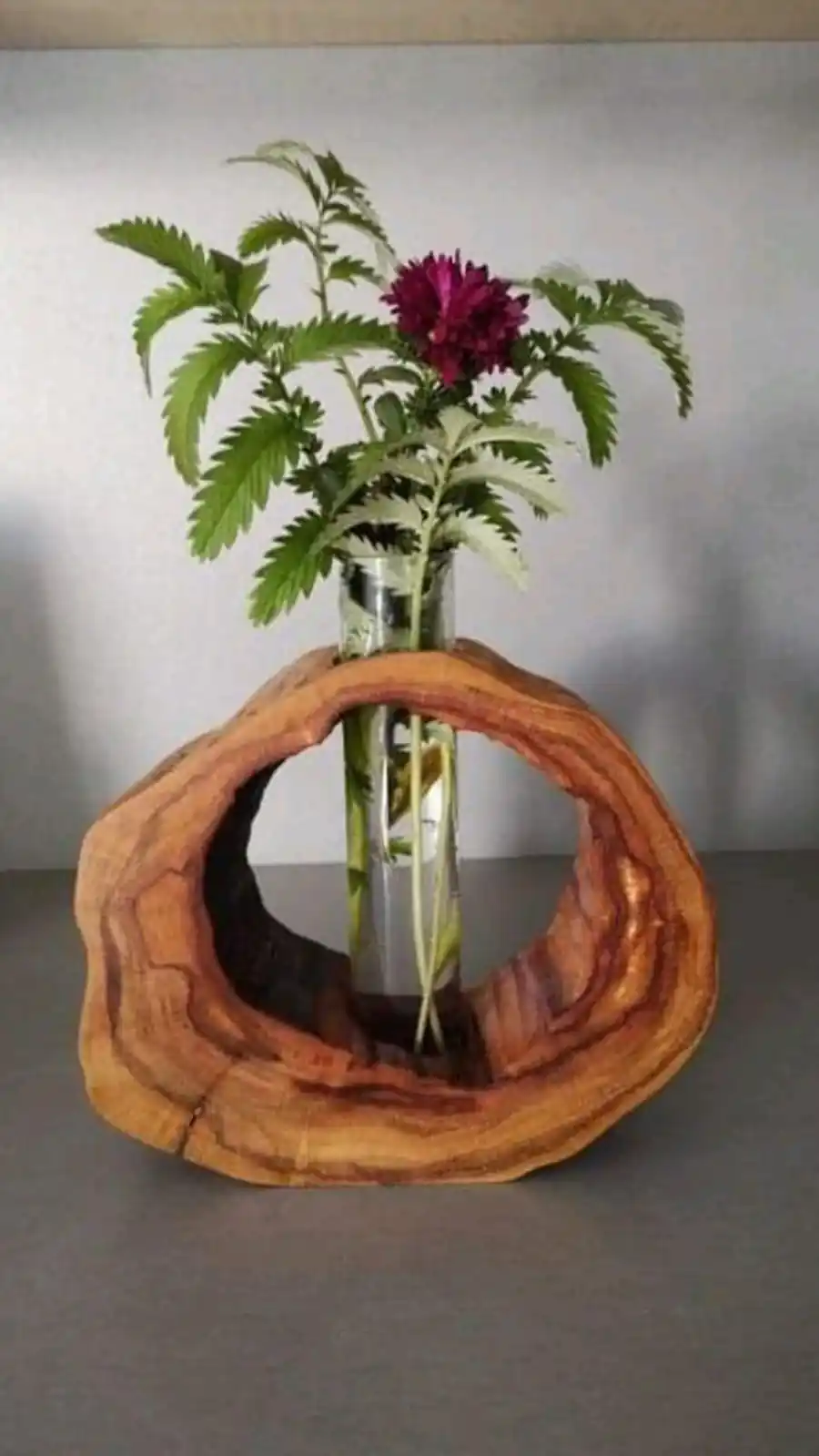 گلدان تنه درختی
