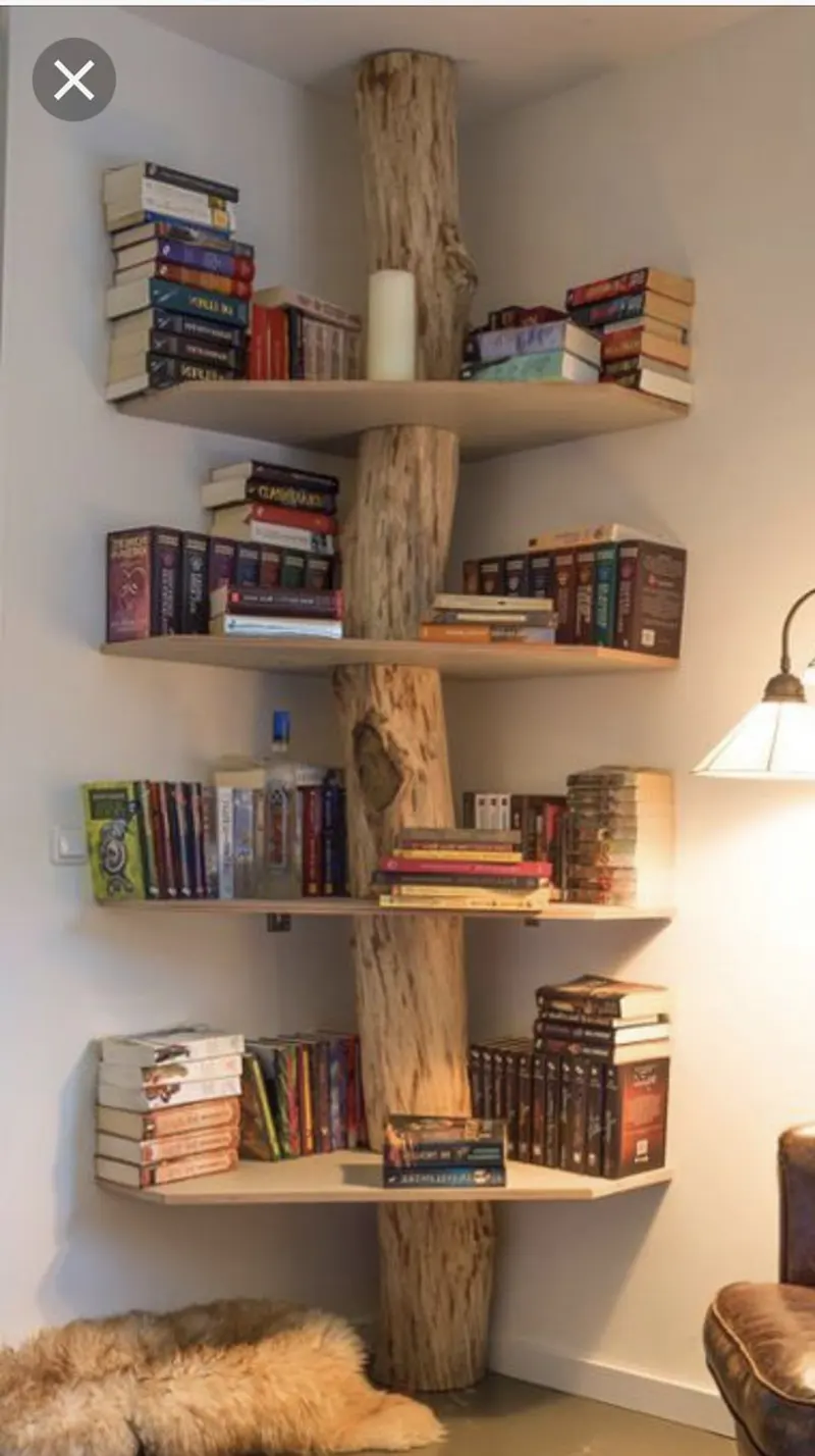مدل های مدرن و شیک کتابخونه