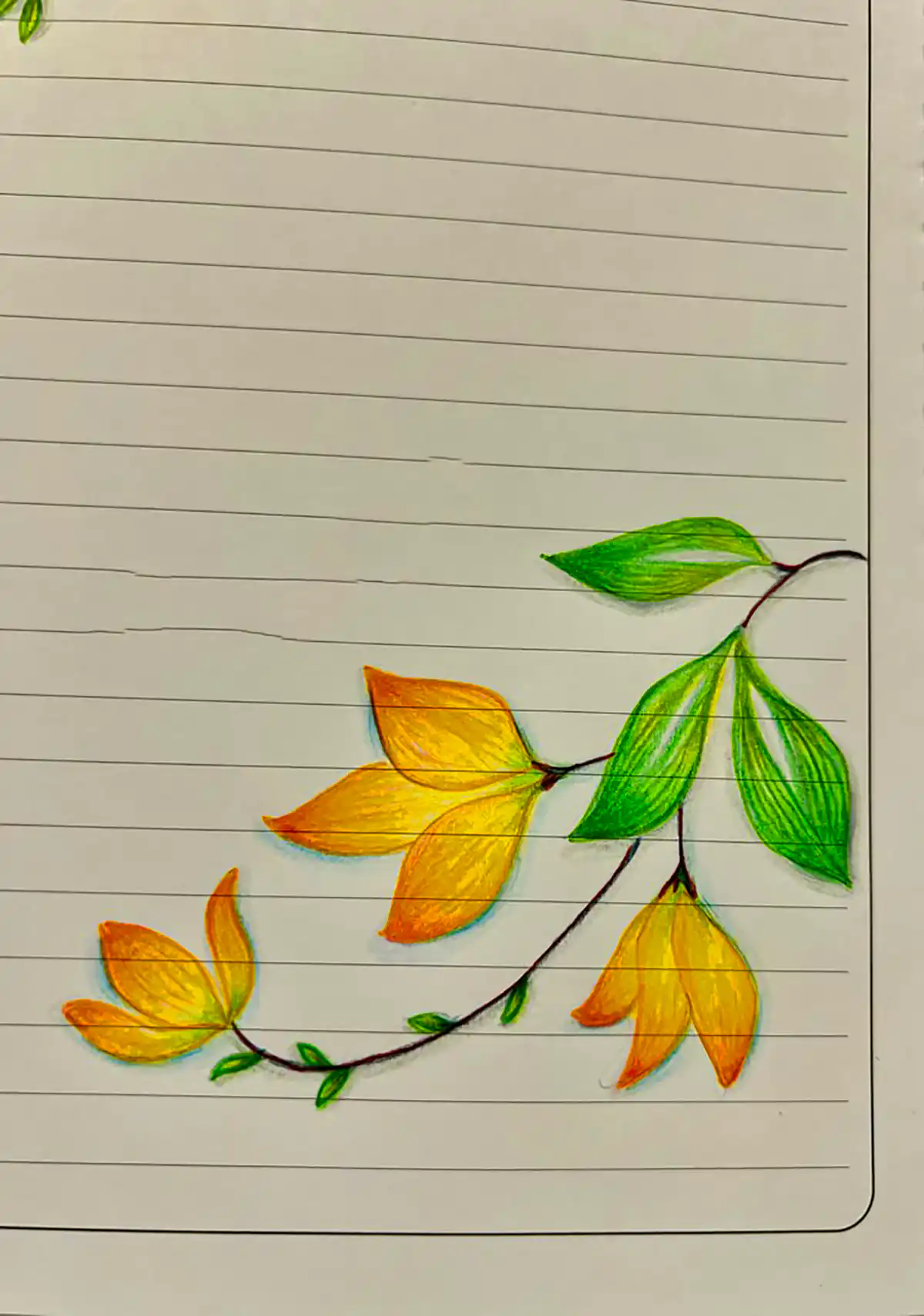 حاشیه دفتر املا طرح گل