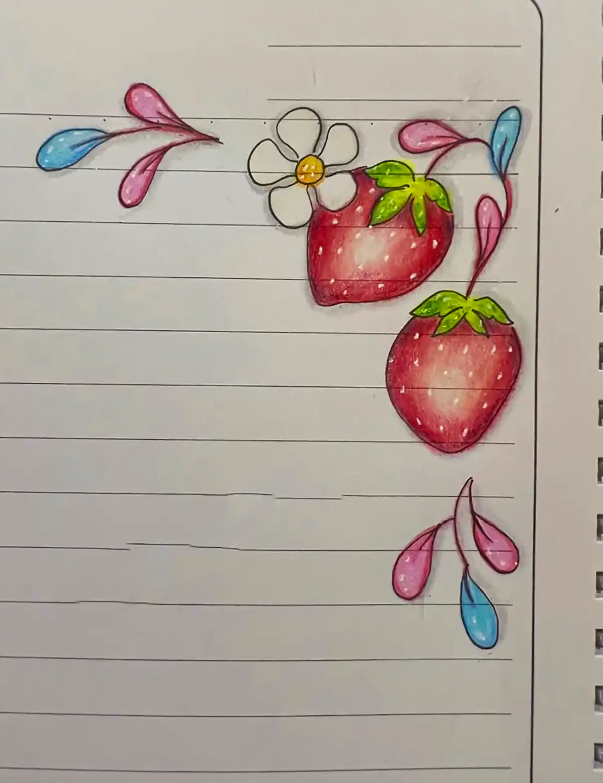 حاشیه دفتر املا طرح گل