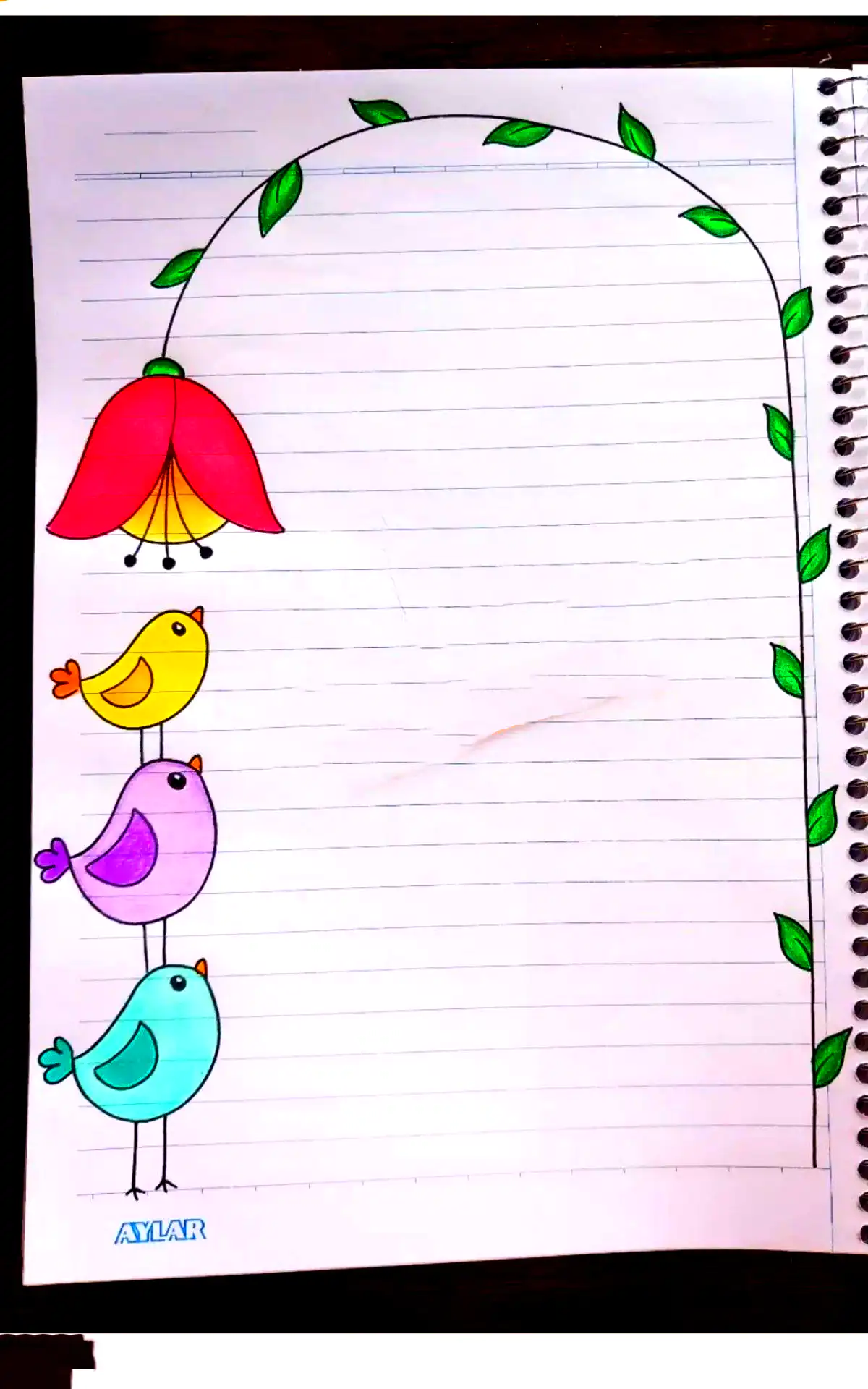 حاشیه ساده و رنگی دفتر