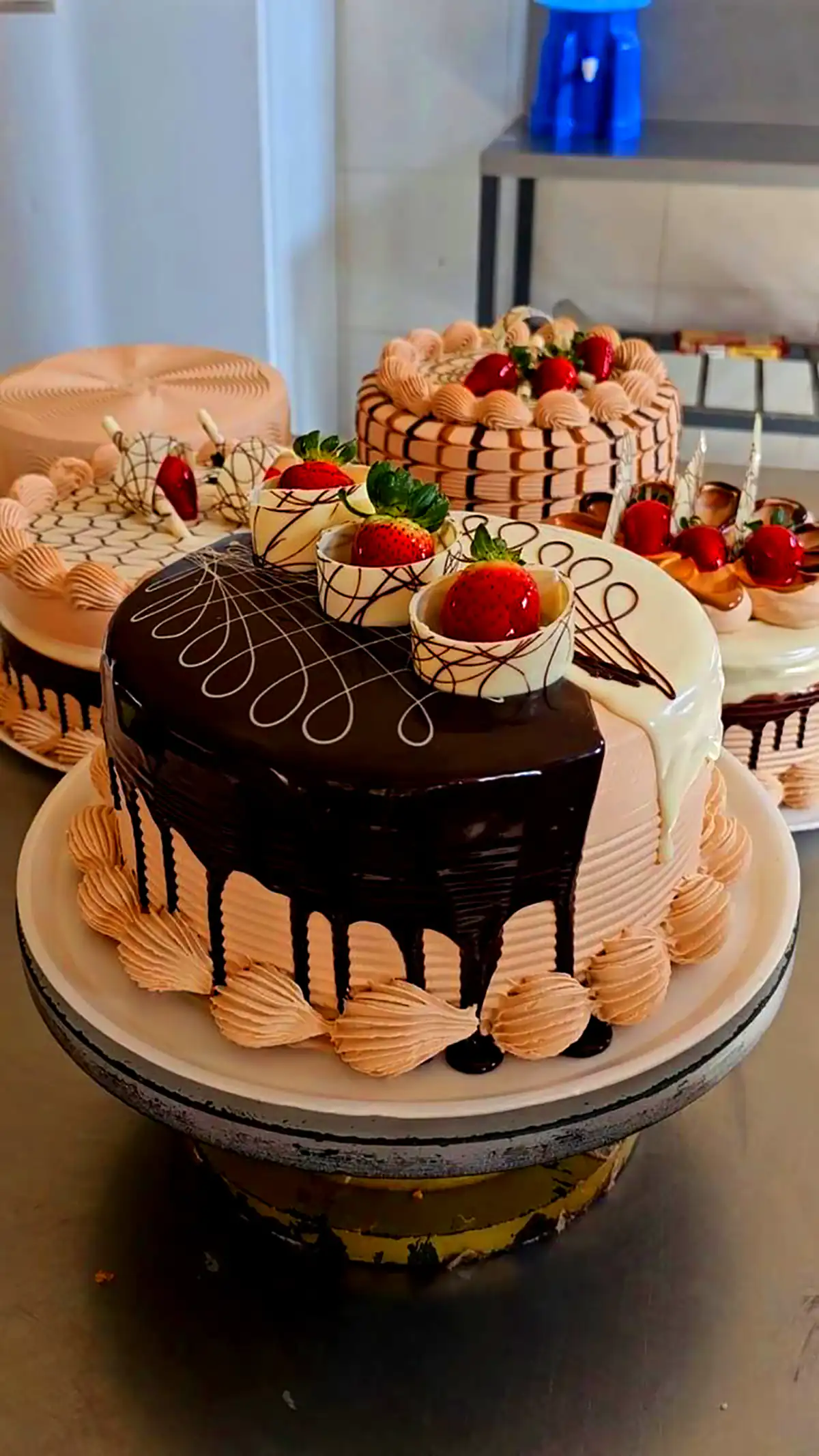 کیک تولد شکلاتی