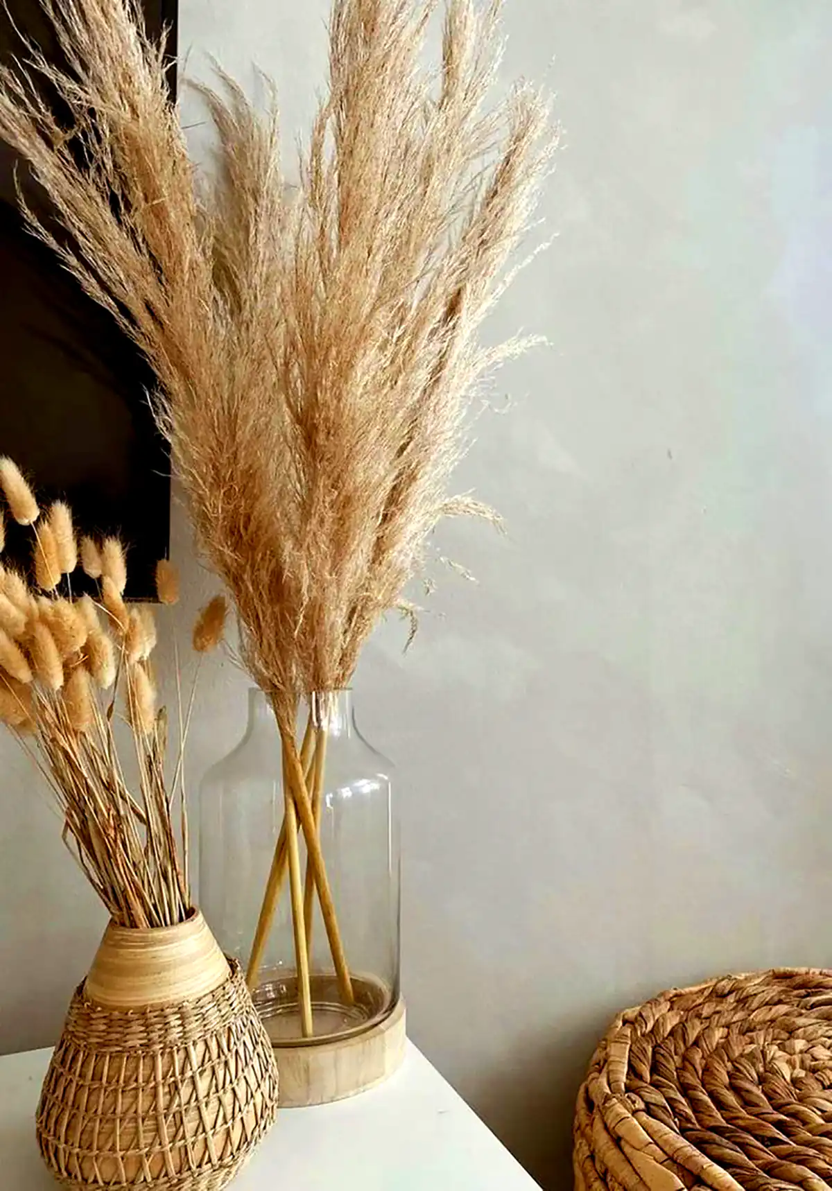 گل طلایی پامپاس 