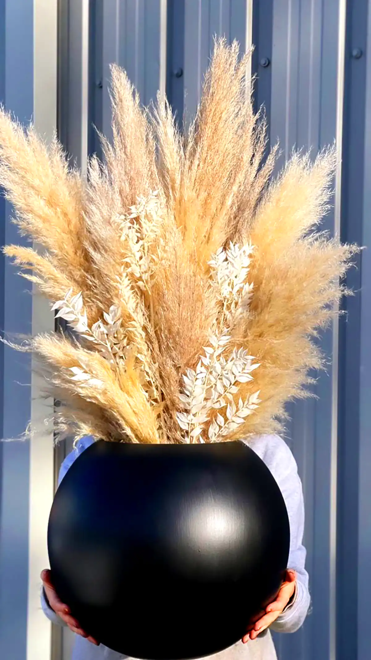 گل طلایی پامپاس 