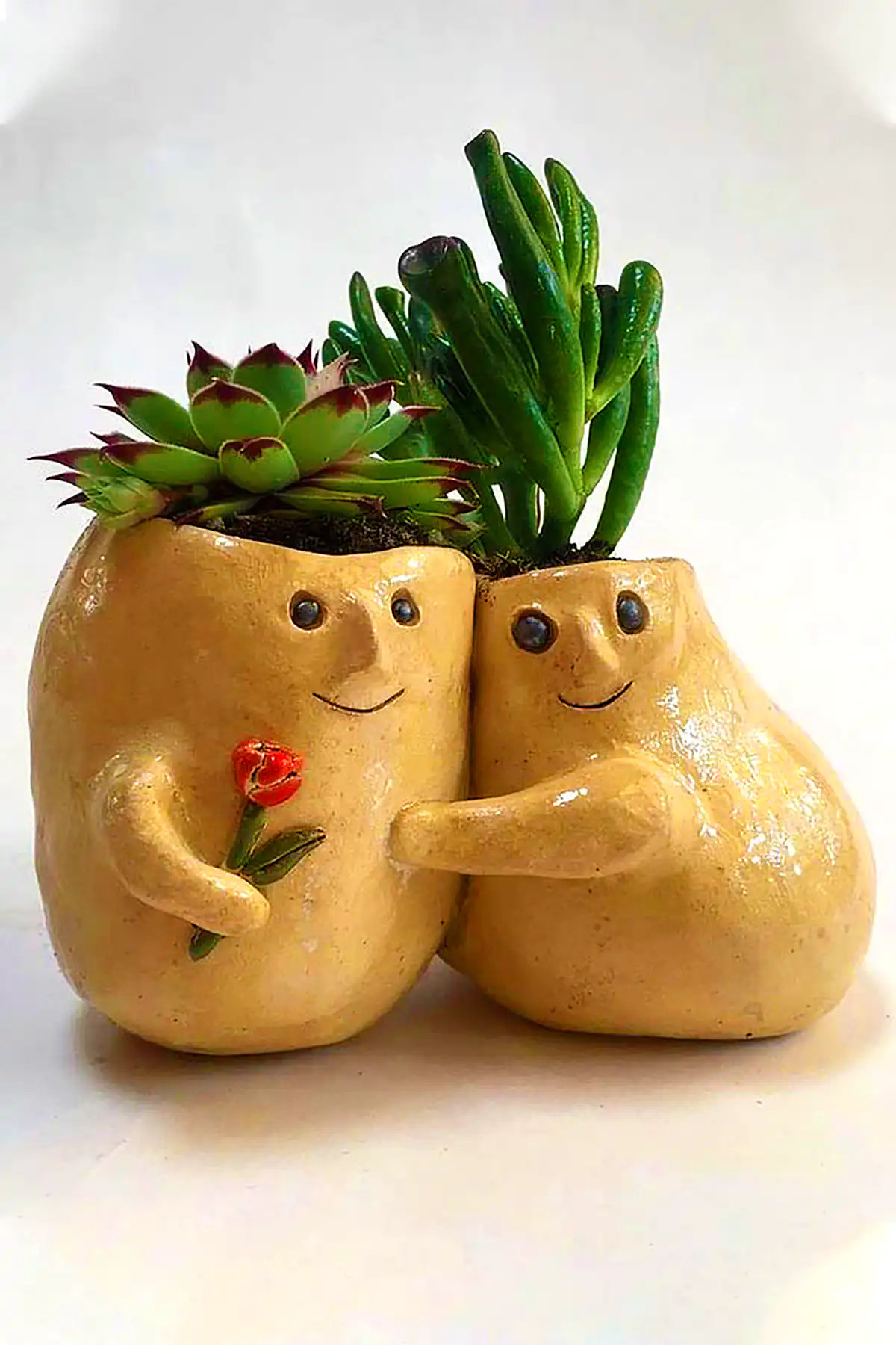 گلدون فانتزی گوگولی