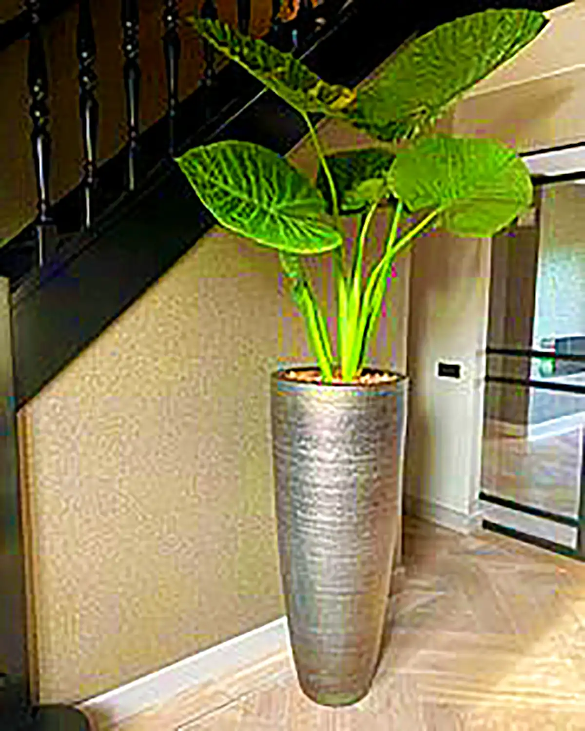 گلدان مدرن کنار سالنی