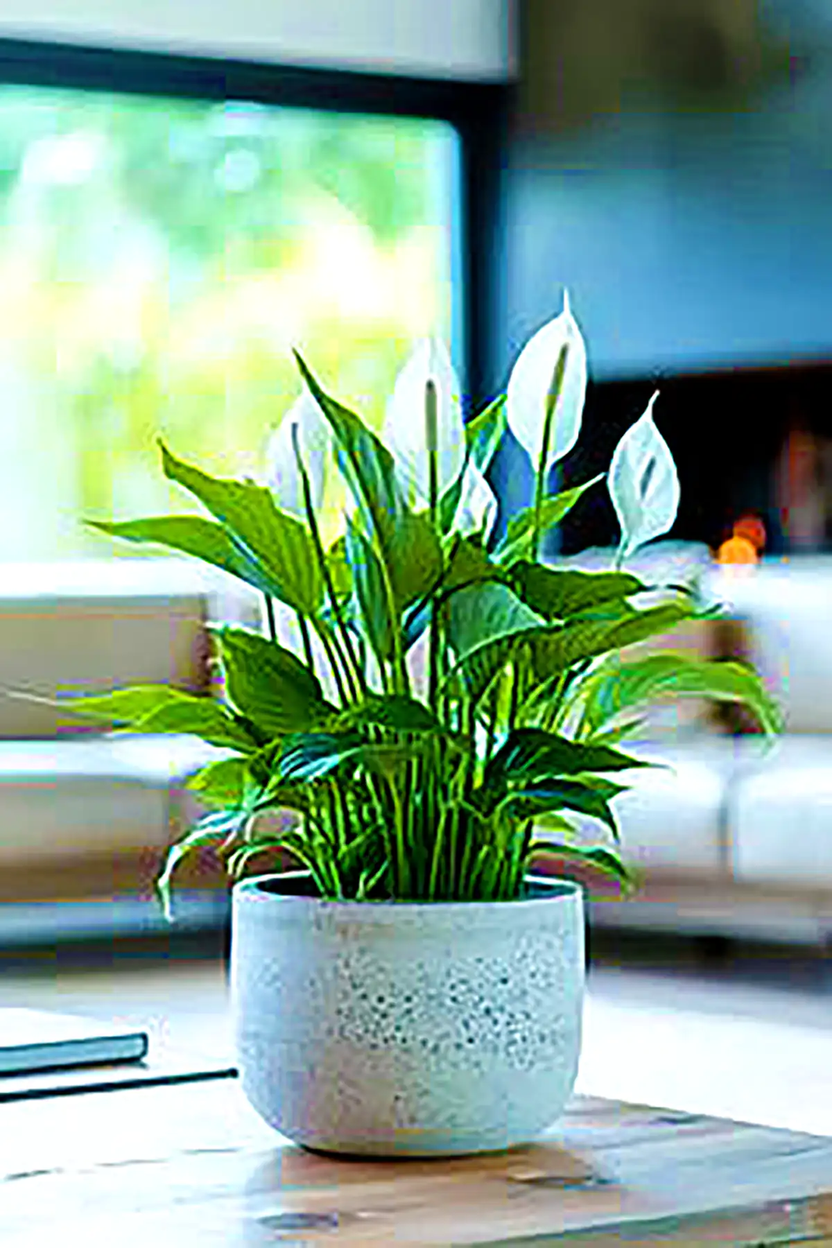 گلدان مدرن کنار سالنی