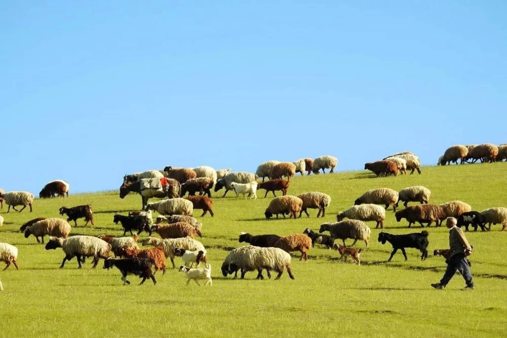سفر به ​قزقان دره درگز