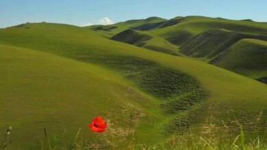 طبیعت زیبا ، دیدنی و بکر قزقان دره درگز (+ تصاویر)