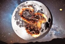 میدونستید ۱۰ آبان که قمر در عقرب هست چه کارهایی رو نباید انجام بدید ؟
