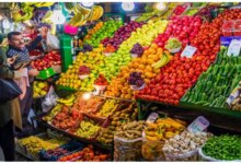 آدرس و تلفن بازار و میدان میوه و تره بار در بجنورد