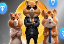 دانلود بازی همستر کامبت / همستر کامبت: نبردی جذاب برای کسب درآمد!