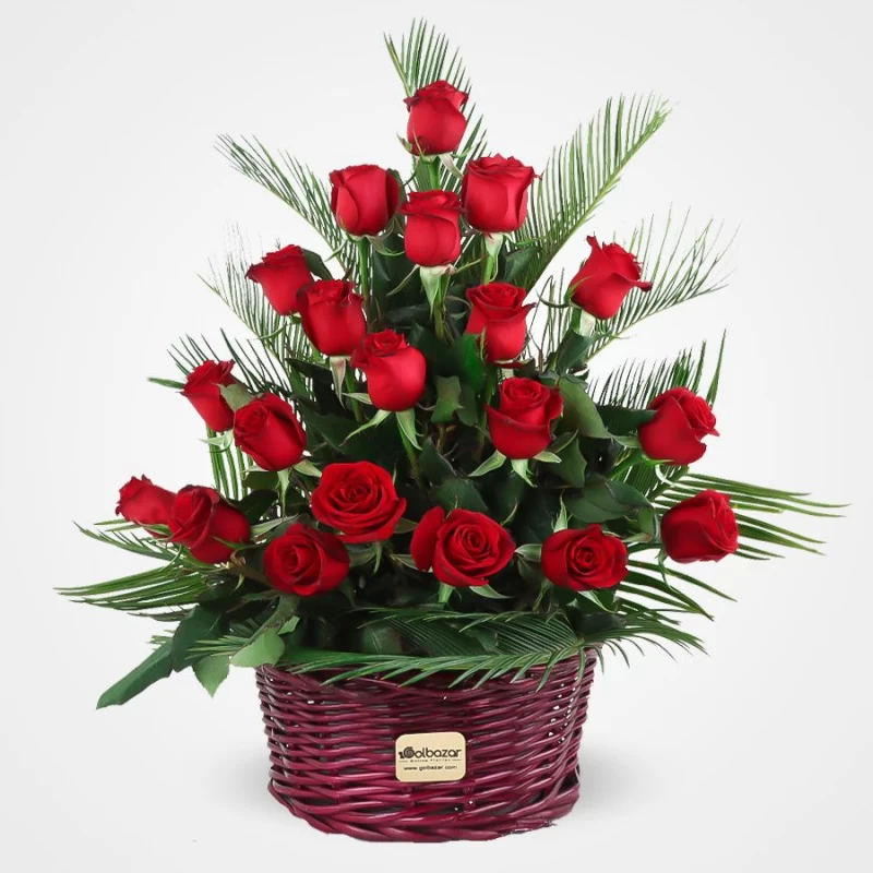 هدیه روز پزشک