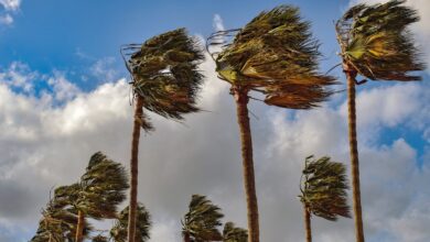 تعبیر خواب باد 🌬️ (کامل و رایگان | از نظر معبران و موضوعات مختلف)