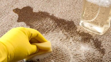 چطور کپک روی فرش و موکت را از بین ببریم؟