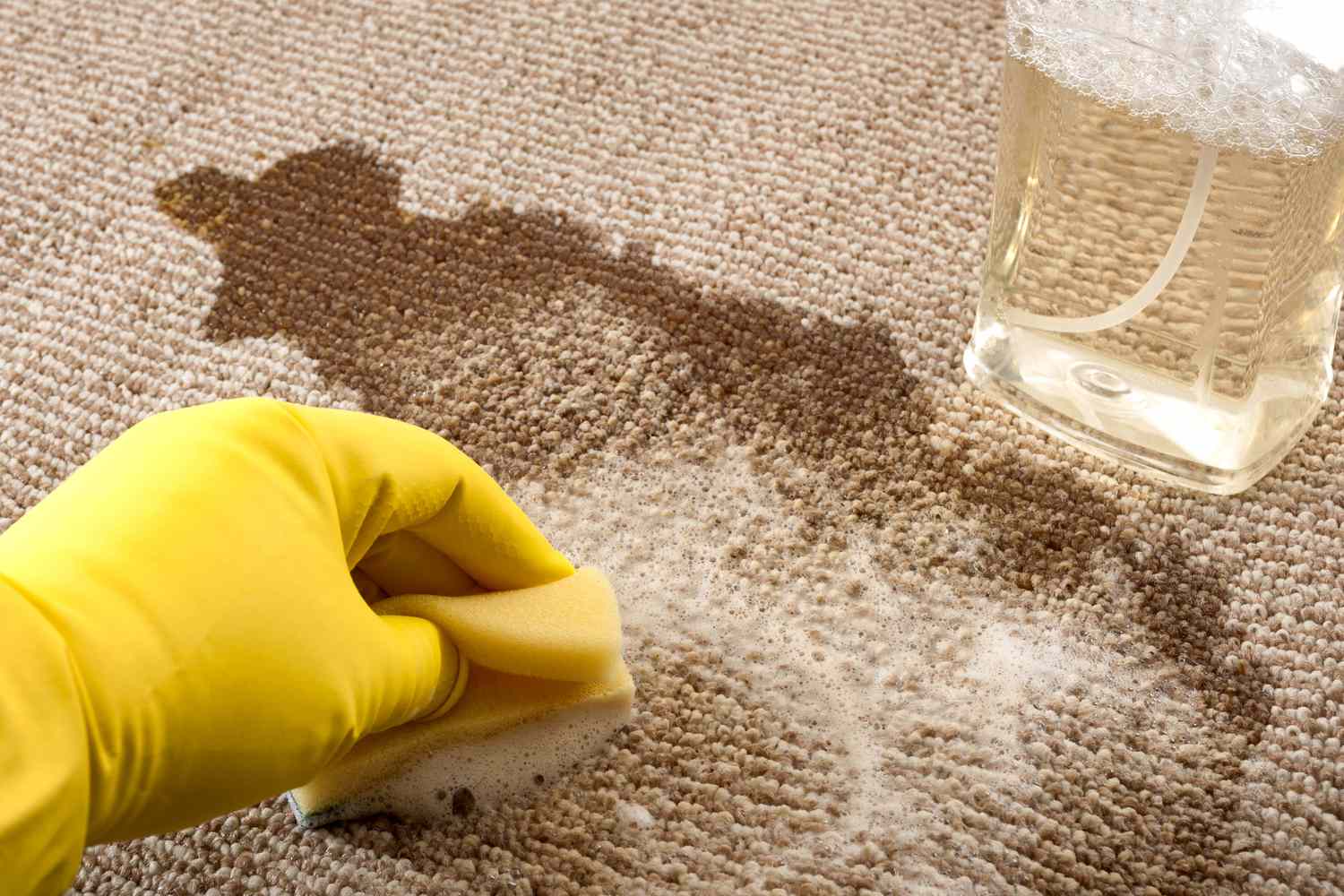 چطور کپک روی فرش و موکت را از بین ببریم؟ چطور کپک روی فرش و موکت را از بین ببریم؟