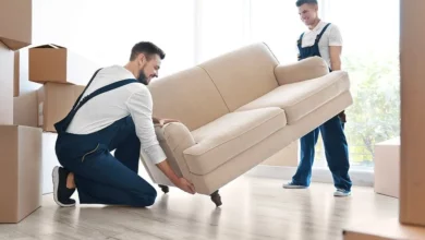 تعبیر خواب اسباب کشی 📦 (کامل و رایگان | از نظر معبران و موضوعات مختلف)