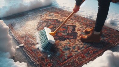 چرا زمستان بهترین زمان شستشوی فرش و مبل شویی است؟