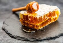 تعبیر خواب عسل🍯 (کامل و رایگان | از نظر معبران و موضوعات مختلف)