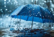 تعبیر خواب باران🌧️ (کامل و رایگان | از نظر معبران و موضوعات مختلف)