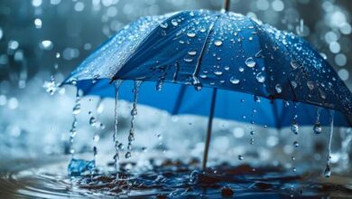تعبیر خواب باران🌧️ (کامل و رایگان | از نظر معبران و موضوعات مختلف)