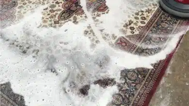 ایا قالیشویی فرش نجس را پاک میکند