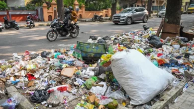 تعبیر خواب زباله و آشغال🗑️ (کامل و رایگان | از نظر معبران و موضوعات مختلف)