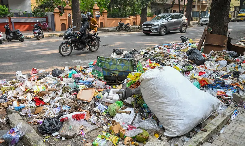 تعبیر خواب زباله و آشغال🗑️ (کامل و رایگان | از نظر معبران و موضوعات مختلف)