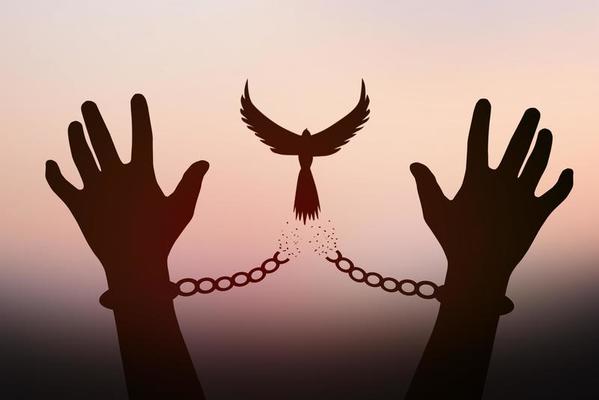 تعبیر خواب آزادی و آزاد شدن⚖️ (کامل و رایگان | از نظر معبران و موضوعات مختلف)