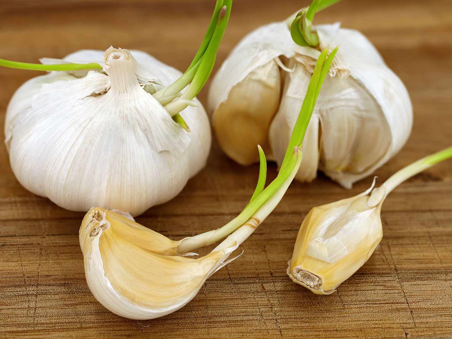 راهکارهایی برای استفاده از پیاز و سیر جوانه زده (2 نکته مهم) راهکارهایی برای استفاده از پیاز و سیر جوانه زده (2 نکته مهم)