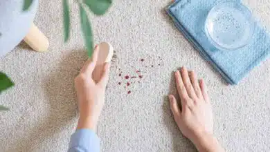 بهترین روش های پاک کردن لکه خون روی فرش