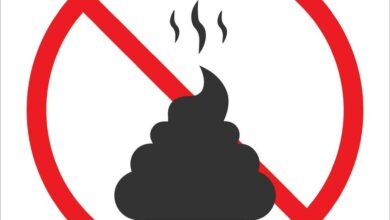 تعبیر خواب مدفوع 💩 (کامل و رایگان | از نظر معبران و موضوعات مختلف)