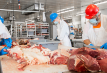تعبیر خواب ذبح و قربانی کردن 🔪 (کامل و رایگان | از نظر معبران و موضوعات مختلف)