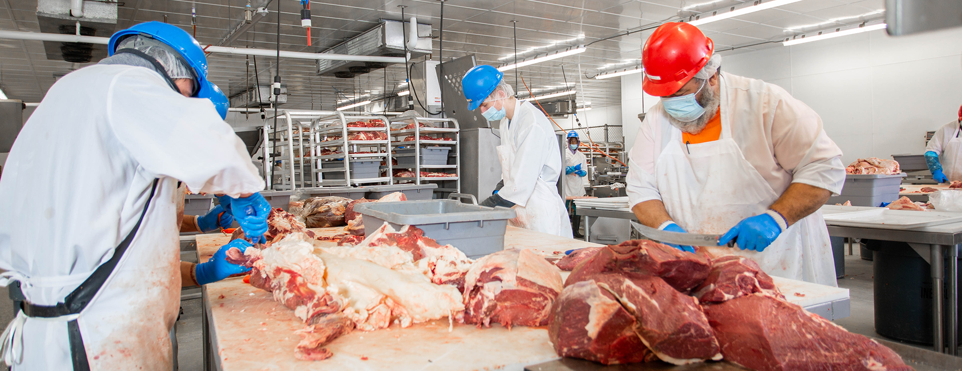تعبیر خواب ذبح و قربانی کردن 🔪 (کامل و رایگان | از نظر معبران و موضوعات مختلف) تعبیر خواب ذبح و قربانی کردن 🔪 (کامل و رایگان | از نظر معبران و موضوعات مختلف)