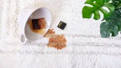 از بین بردن لکه روی فرش کرمی + لکه چای روی فرش کرم