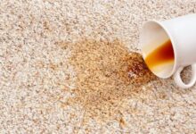 پاک کردن لکه چای از روی فرش و مبل